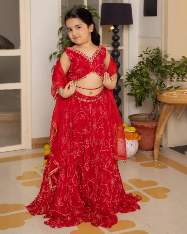 Kiara Red Bandhani Georgette Lehenga Set